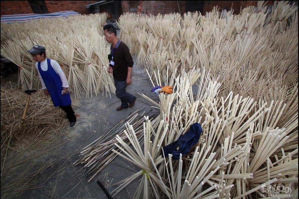 高清：广西有毒一次性筷子生产过程曝光你还敢用吗？198 / 作者:穷人 / 帖子ID:14221