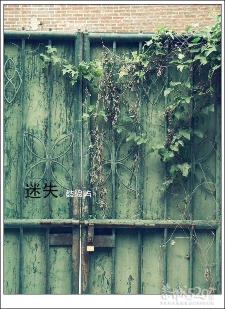 出发.鼓浪屿.单车。449 / 作者:講不醜 / 帖子ID:14265