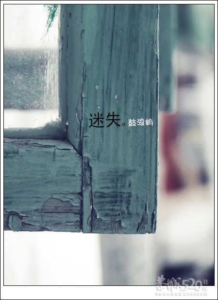 出发.鼓浪屿.单车。757 / 作者:講不醜 / 帖子ID:14265
