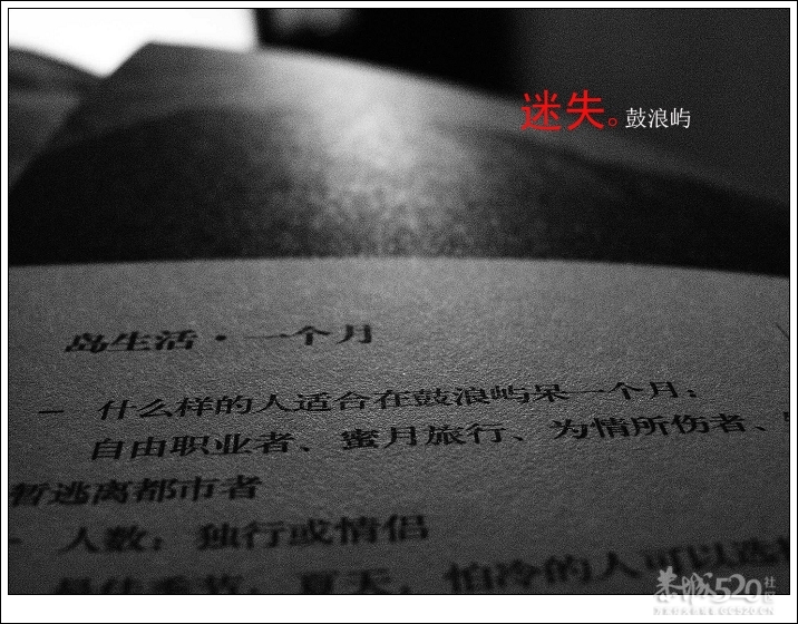出发.鼓浪屿.单车。652 / 作者:講不醜 / 帖子ID:14265