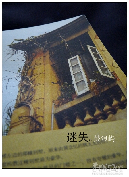 出发.鼓浪屿.单车。739 / 作者:講不醜 / 帖子ID:14265