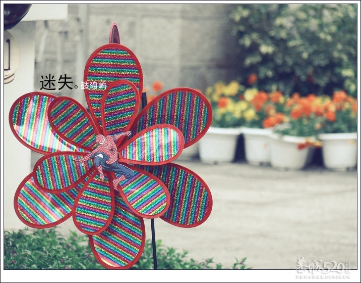 出发.鼓浪屿.单车。973 / 作者:講不醜 / 帖子ID:14265