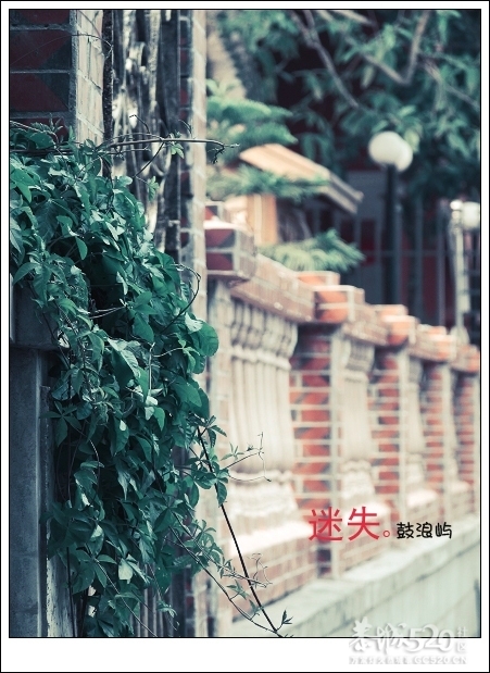 出发.鼓浪屿.单车。499 / 作者:講不醜 / 帖子ID:14265