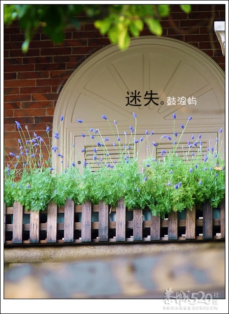 出发.鼓浪屿.单车。292 / 作者:講不醜 / 帖子ID:14265