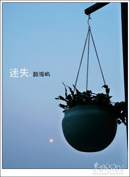 出发.鼓浪屿.单车。991 / 作者:講不醜 / 帖子ID:14265