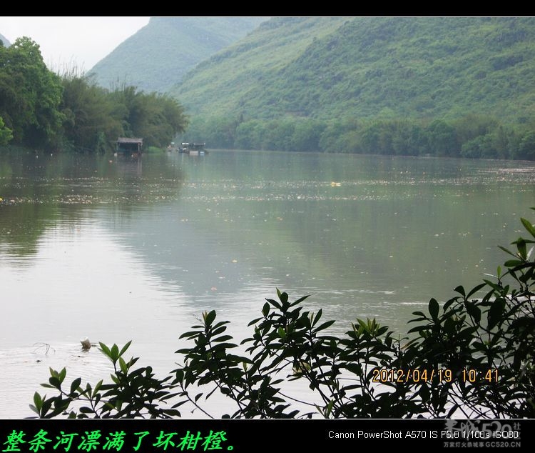 柑橙之乡的水果销路急待解决。984 / 作者:平安大叔 / 帖子ID:15173