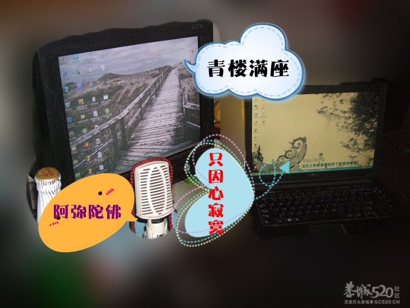 用美图秀秀DIY下子，蛮好玩。816 / 作者:小紫 / 帖子ID:15295