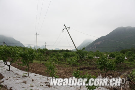 雷雨大风袭击恭城南部 供电线路遭受重创781 / 作者:社区小编 / 帖子ID:15298