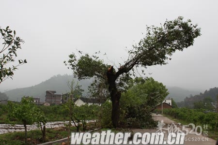 雷雨大风袭击恭城南部 供电线路遭受重创439 / 作者:社区小编 / 帖子ID:15298