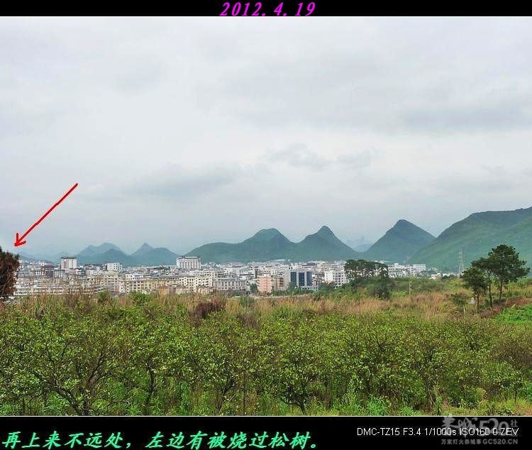 我县同乐洲宝塔遗址。893 / 作者:平安大叔 / 帖子ID:15346