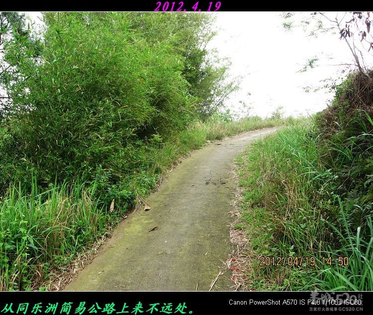我县同乐洲宝塔遗址。747 / 作者:平安大叔 / 帖子ID:15346