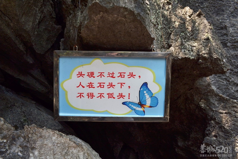 阳朔530 / 作者:守望者 / 帖子ID:15448