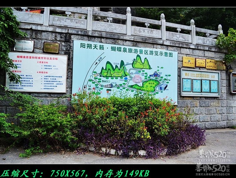 阳朔430 / 作者:平安大叔 / 帖子ID:15448