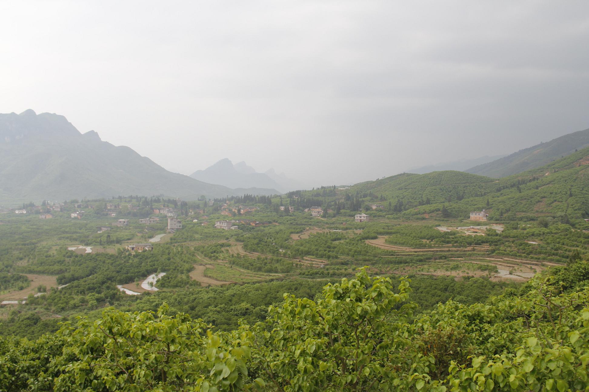 美丽的风景781 / 作者:瑶乡看兰 / 帖子ID:15482