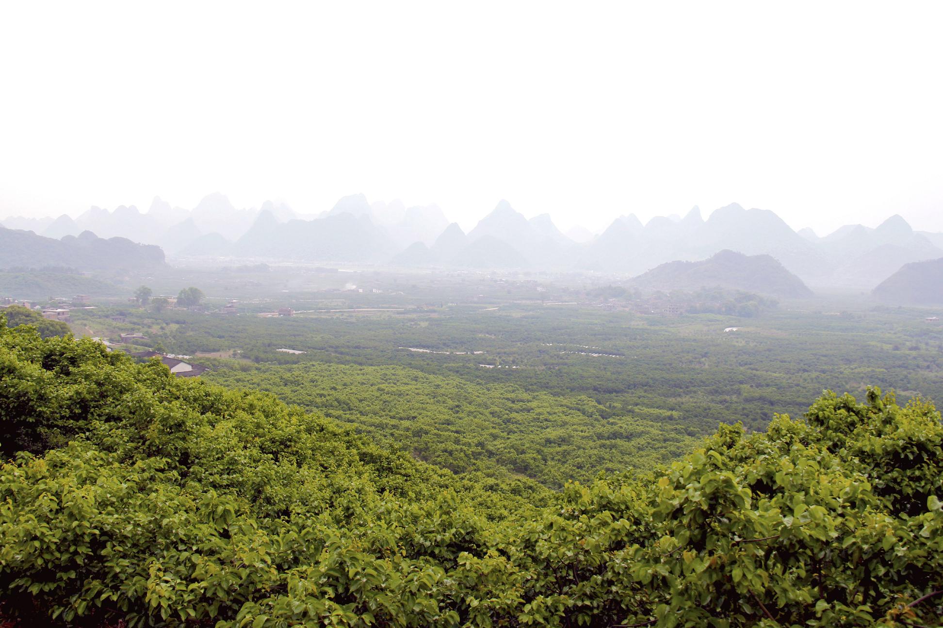 美丽的风景418 / 作者:瑶乡看兰 / 帖子ID:15482