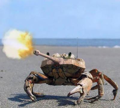 菲煽动反华、数百人到我驻菲使馆前示威！＜转＞210 / 作者:不需要人懂 / 帖子ID:15533