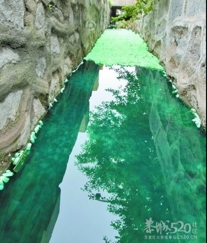 空壳胶囊“投渠自尽” 郑州一渠沟成彩虹河762 / 作者:小雨点 / 帖子ID:15547