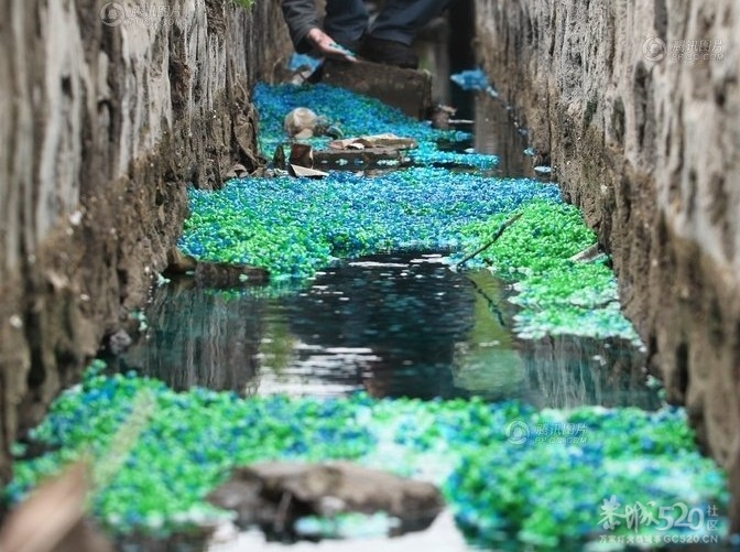 空壳胶囊“投渠自尽” 郑州一渠沟成彩虹河179 / 作者:小雨点 / 帖子ID:15547