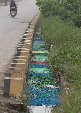 空壳胶囊“投渠自尽” 郑州一渠沟成彩虹河242 / 作者:小雨点 / 帖子ID:15547