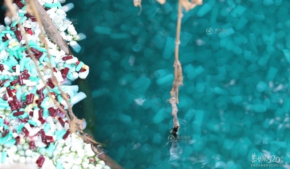 空壳胶囊“投渠自尽” 郑州一渠沟成彩虹河481 / 作者:小雨点 / 帖子ID:15547