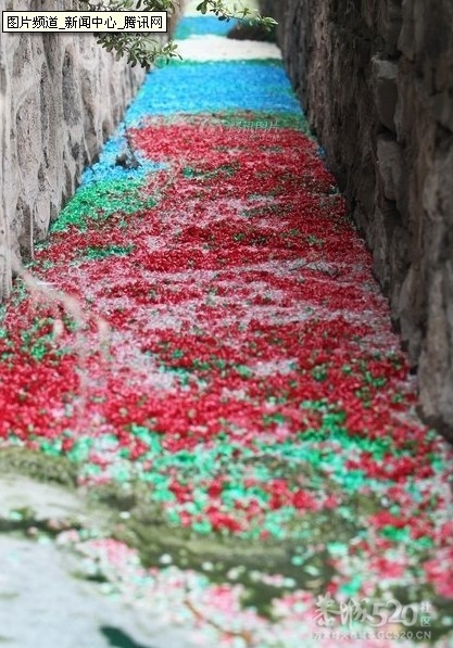 空壳胶囊“投渠自尽” 郑州一渠沟成彩虹河102 / 作者:小雨点 / 帖子ID:15547