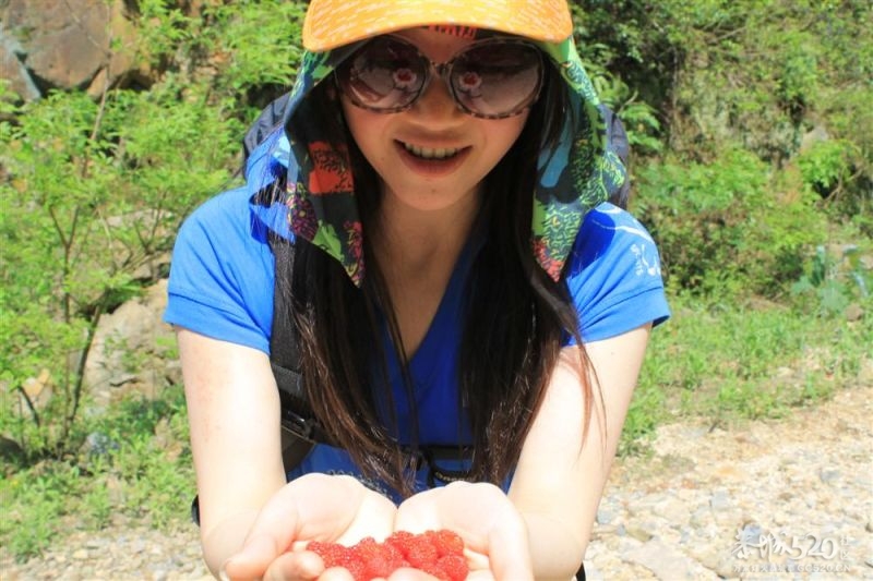 燕子山的春天4月21-22日788 / 作者:我不懂你 / 帖子ID:15588