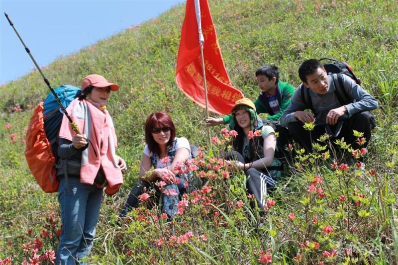 燕子山的春天4月21-22日447 / 作者:我不懂你 / 帖子ID:15588