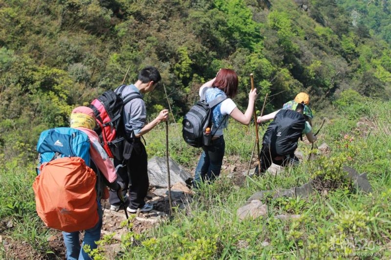 燕子山的春天4月21-22日237 / 作者:我不懂你 / 帖子ID:15588