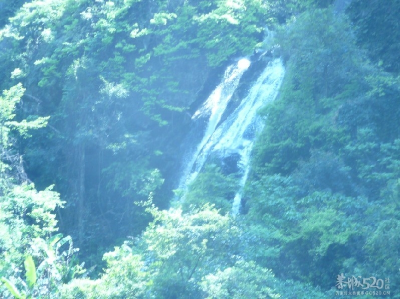 燕子山的春天4月21-22日64 / 作者:我不懂你 / 帖子ID:15588