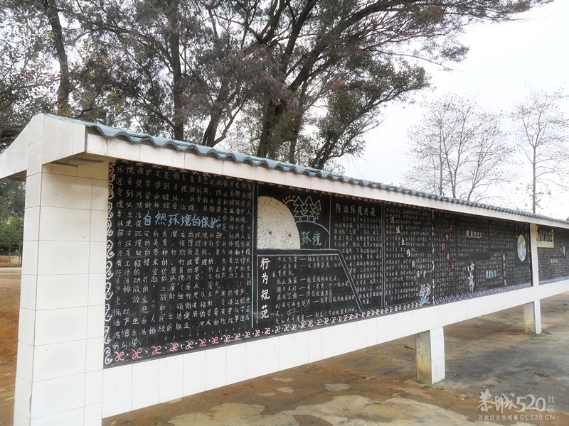 我的母校--西岭中学164 / 作者:亚利布达 / 帖子ID:15602