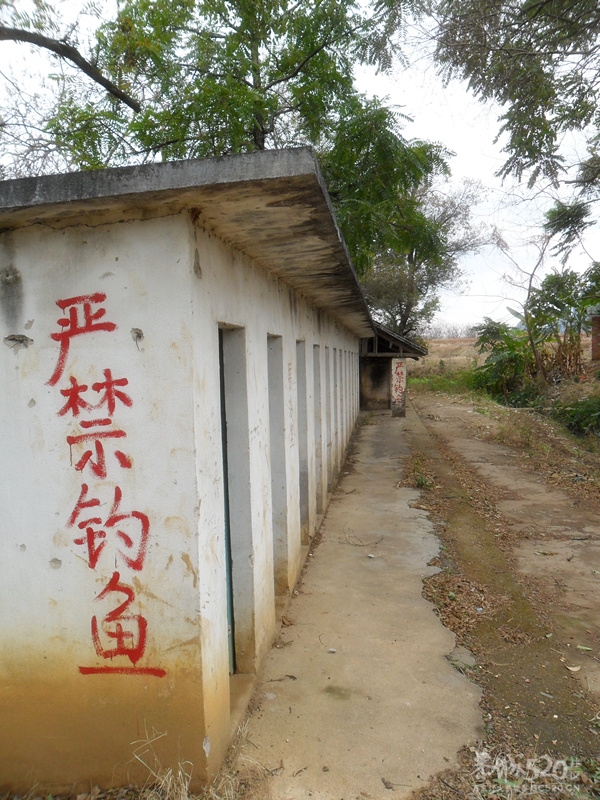 我的母校--西岭中学611 / 作者:亚利布达 / 帖子ID:15602