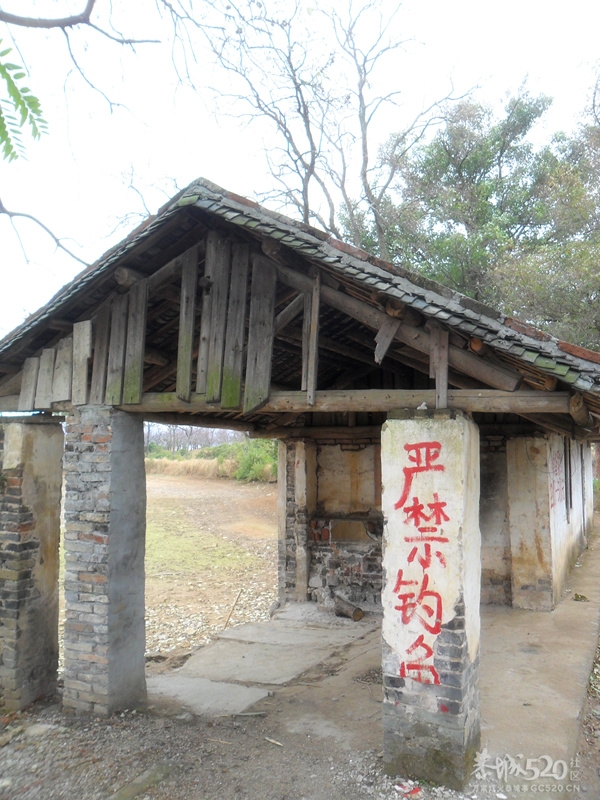 我的母校--西岭中学70 / 作者:亚利布达 / 帖子ID:15602