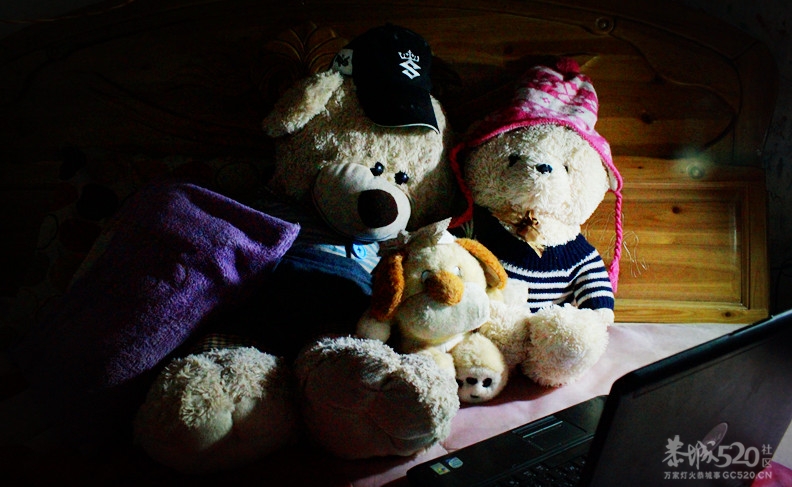 除了网络，剩下的只有黑暗599 / 作者:小紫 / 帖子ID:15611