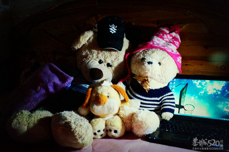 除了网络，剩下的只有黑暗447 / 作者:小紫 / 帖子ID:15611