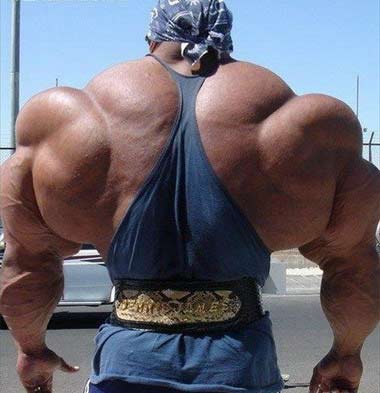 世界是的好身材！！62 / 作者:不需要人懂 / 帖子ID:15679