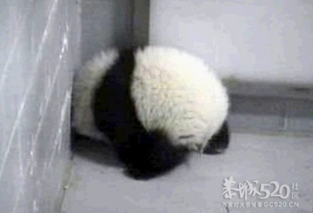 墙角90°160 / 作者:火星娃崽 / 帖子ID:15743