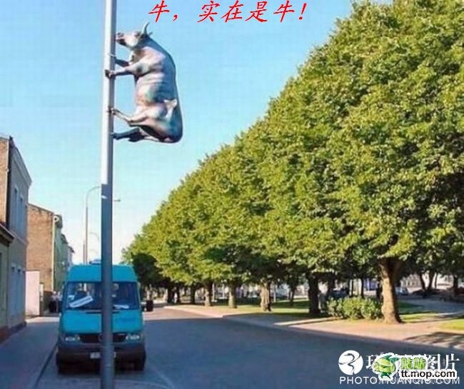 最牛回帖(认为搞笑就帮顶)253 / 作者:平安大叔 / 帖子ID:15797