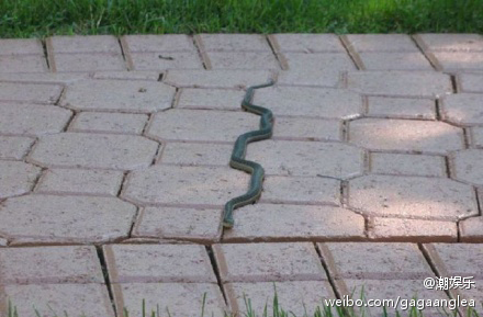 雷人囧片搞笑图集332 / 作者:火星娃崽 / 帖子ID:15808