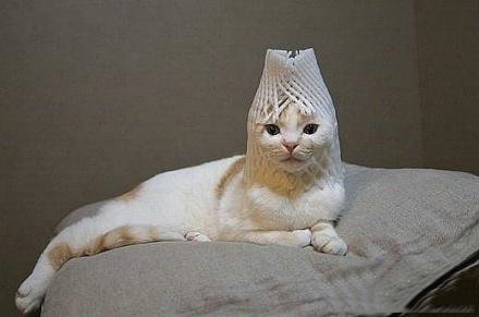 雷人囧片搞笑图集40 / 作者:火星娃崽 / 帖子ID:15808