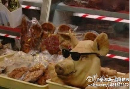 雷人囧片搞笑图集856 / 作者:火星娃崽 / 帖子ID:15808