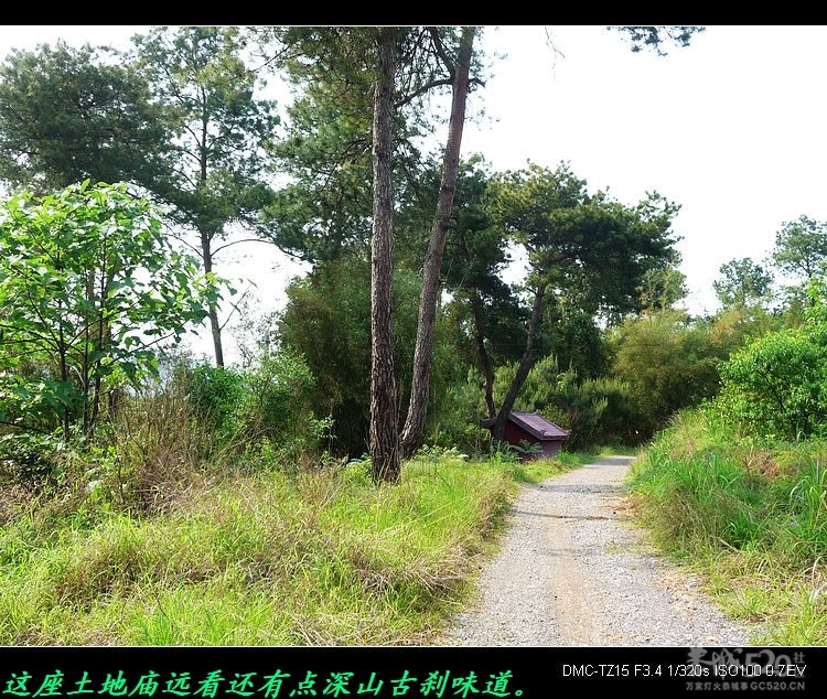 恭城的“土地庙”381 / 作者:平安大叔 / 帖子ID:15857