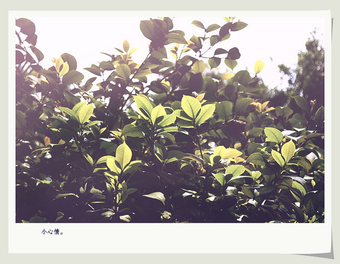 小心情。143 / 作者:講不醜 / 帖子ID:15935