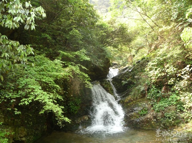 燕子山的春天4月21-22日477 / 作者:我不懂你 / 帖子ID:15588