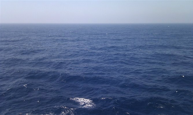 来个刺激的···375 / 作者:莲花街人 / 帖子ID:16108