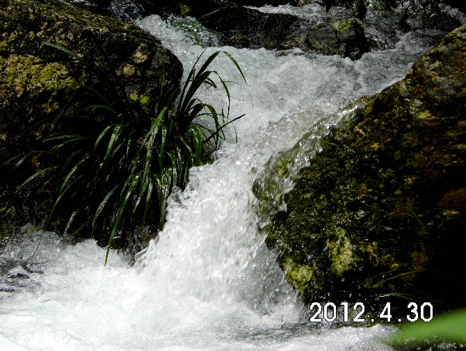 20120430茶江户外徒步石榴花部分PP331 / 作者:福民侠 / 帖子ID:16110