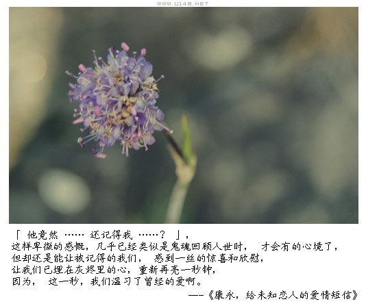 给未知恋人的爱情短信806 / 作者:低吟那一抹忧伤 / 帖子ID:16180
