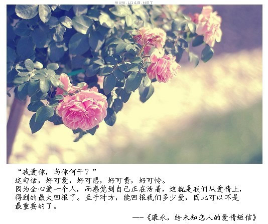 给未知恋人的爱情短信554 / 作者:低吟那一抹忧伤 / 帖子ID:16180
