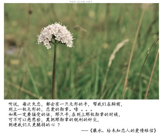 给未知恋人的爱情短信294 / 作者:低吟那一抹忧伤 / 帖子ID:16180