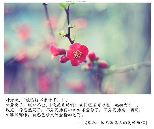 给未知恋人的爱情短信316 / 作者:低吟那一抹忧伤 / 帖子ID:16180