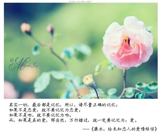 给未知恋人的爱情短信818 / 作者:低吟那一抹忧伤 / 帖子ID:16180